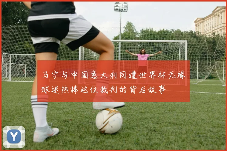 马宁与中国意大利同遭世界杯无缘球迷热捧这位裁判的背后故事