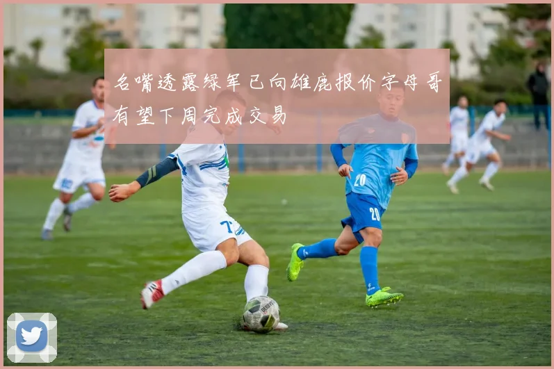 名嘴透露绿军已向雄鹿报价字母哥有望下周完成交易