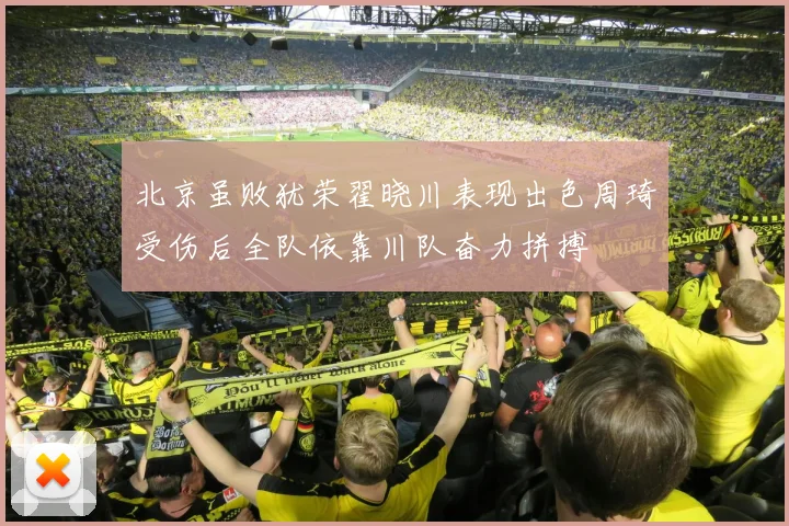 北京虽败犹荣翟晓川表现出色周琦受伤后全队依靠川队奋力拼搏